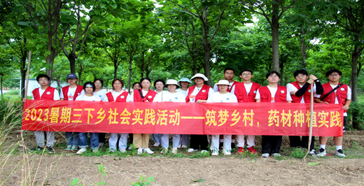 新华药院学子三下乡：筑梦乡村，药材种植实践